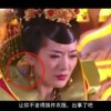 49图库下载安装绿色